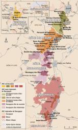 Carte des vins r de bourgogne